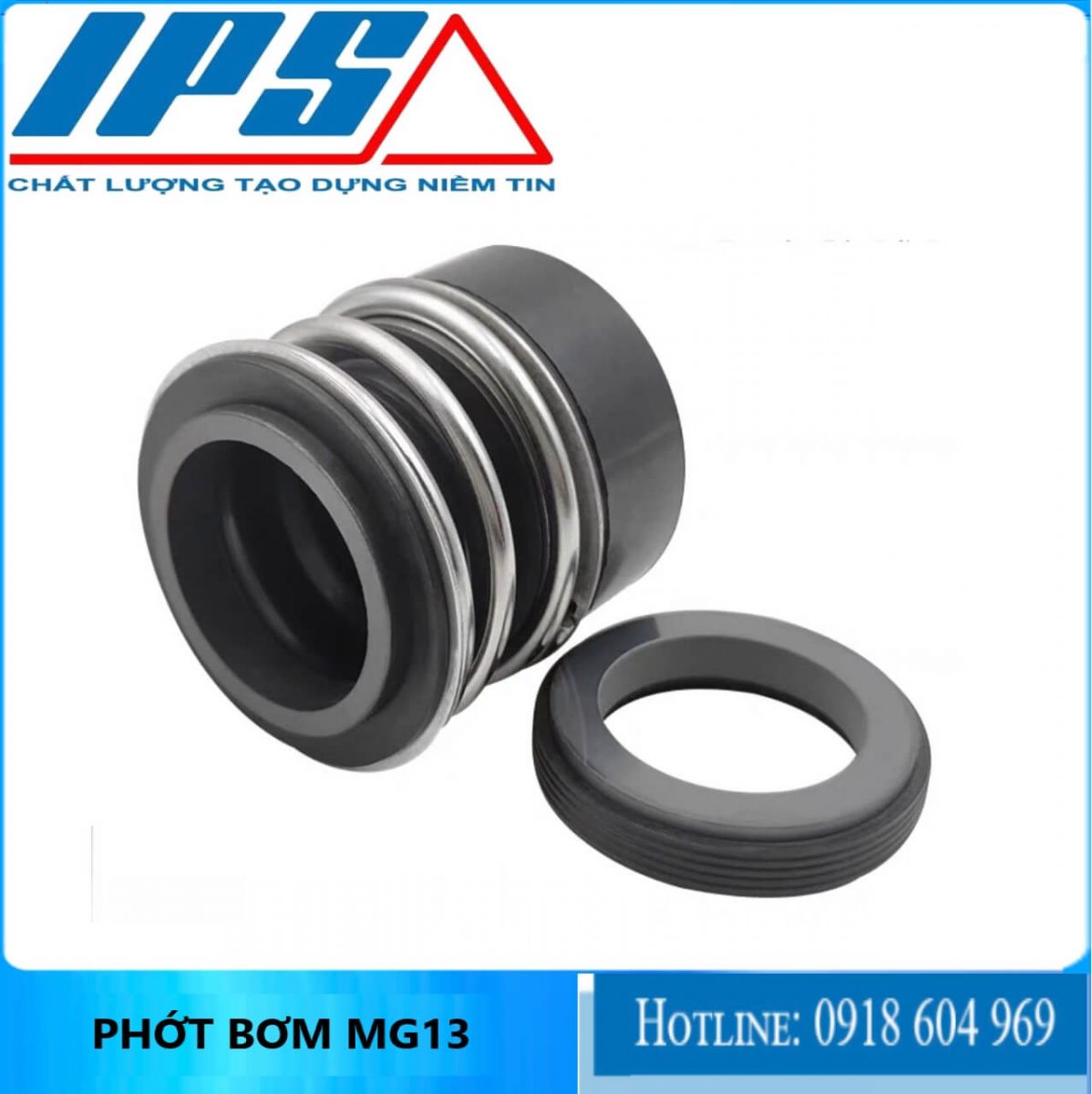 Phớt MG13-6(1)